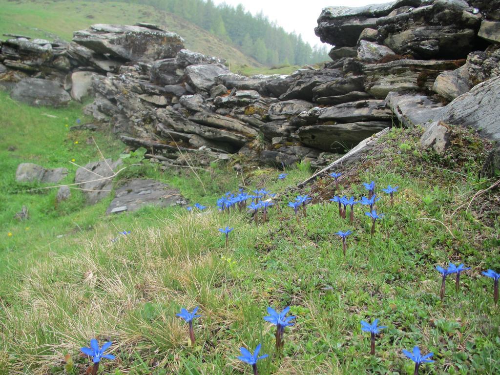 Landhaus Gassner Bruck an der Grossglocknerstrasse Luaran gambar